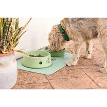 3 Piece Vigar Pets Club Feeder Bowl Set